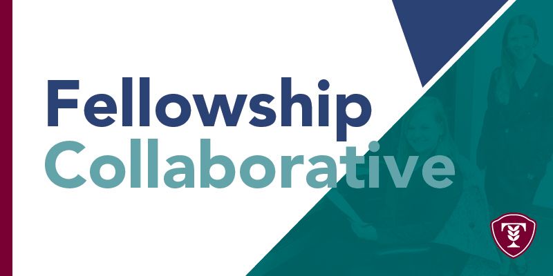 Fellowship Colalborative